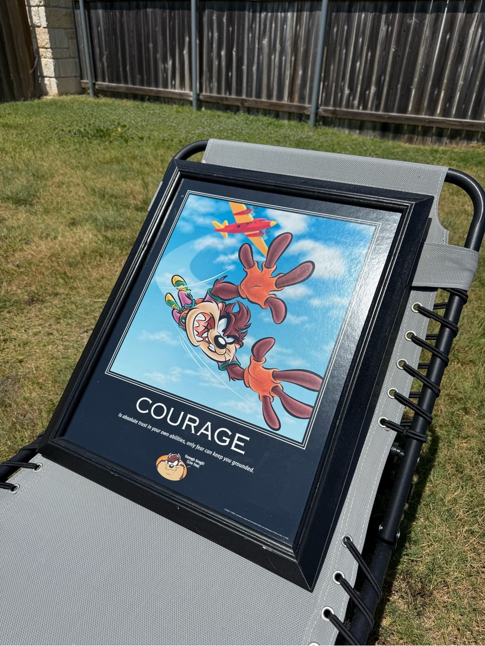 1998 Looney Tunes 'Courage' Framed Wall Art